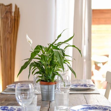 Spacious Apartment With Big Terrace At Colosseum Roma Ngoại thất bức ảnh